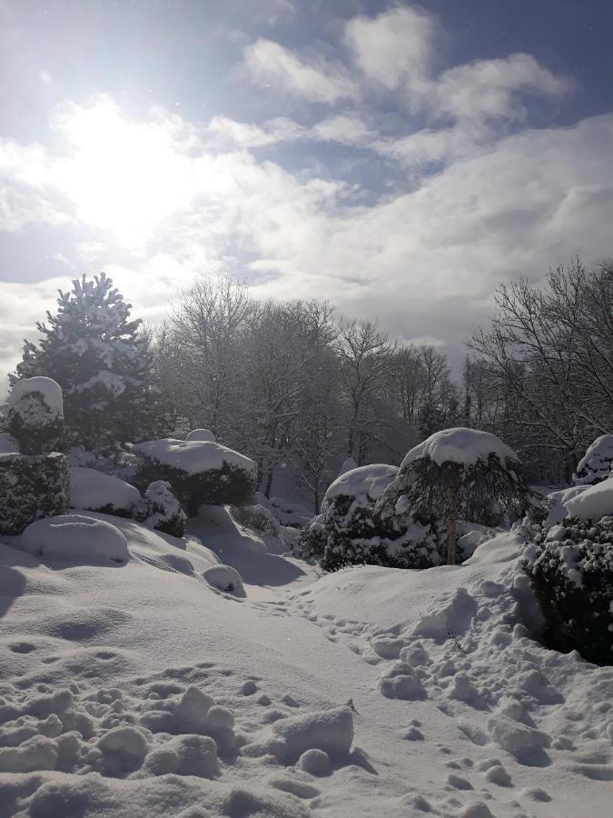 Dworek Nad Rega Trzebiatow nad Rega Exterior foto