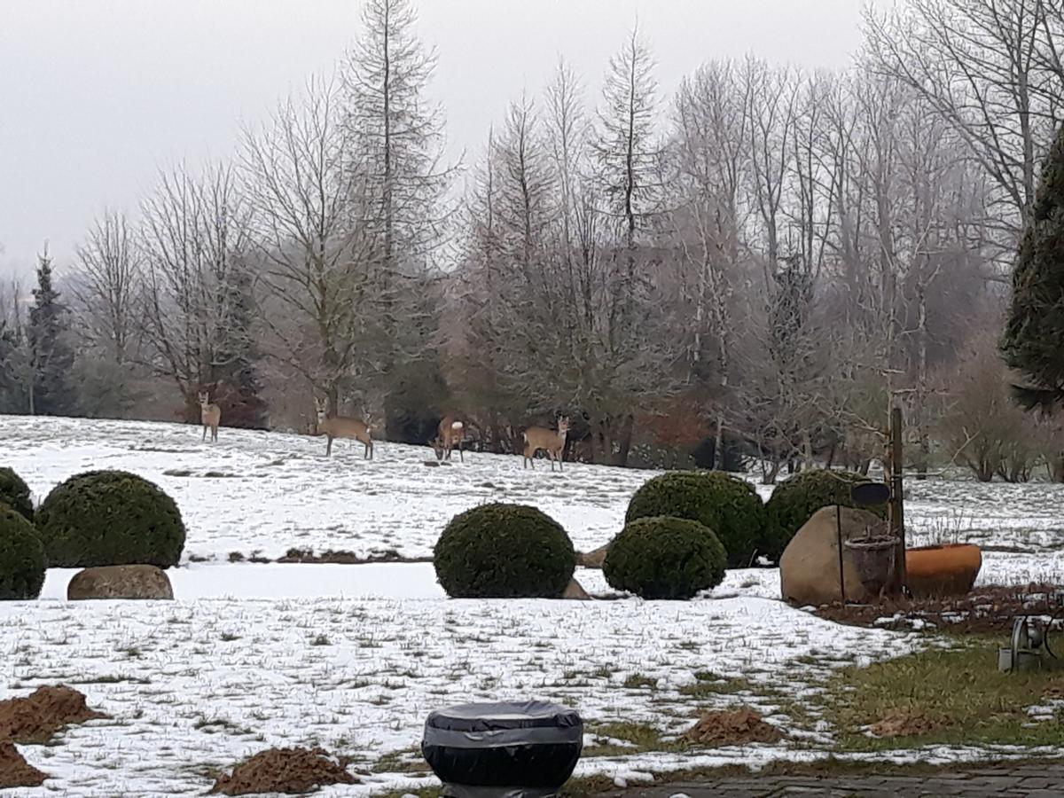 Dworek Nad Rega Trzebiatow nad Rega Exterior foto
